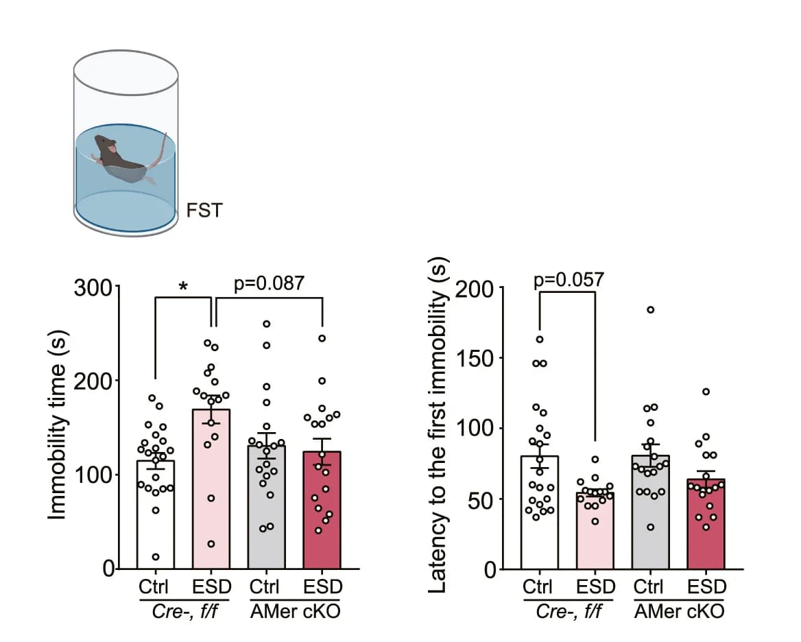 Open access visualization of Bar Plot, Error Bars, Scatter Plot, Bar Graph, Behavioral Tests