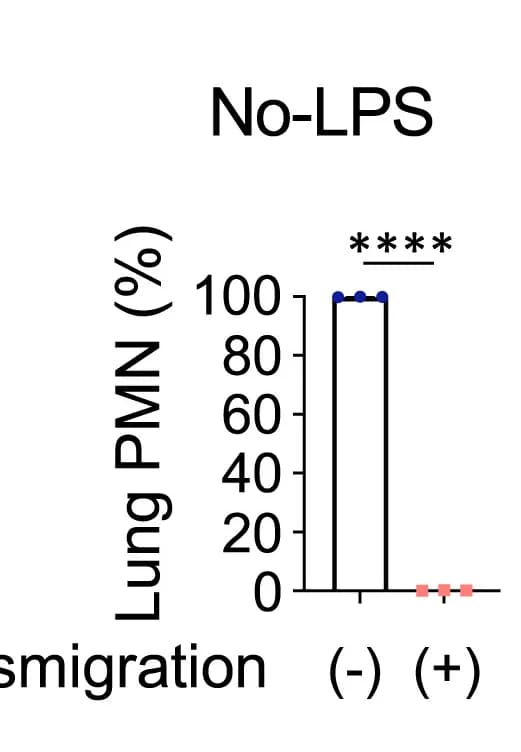 Open access visualization of Bar Plot, Transmigrated PMNs, Non-transmigrated PMNs, FACS Analysis, LPS