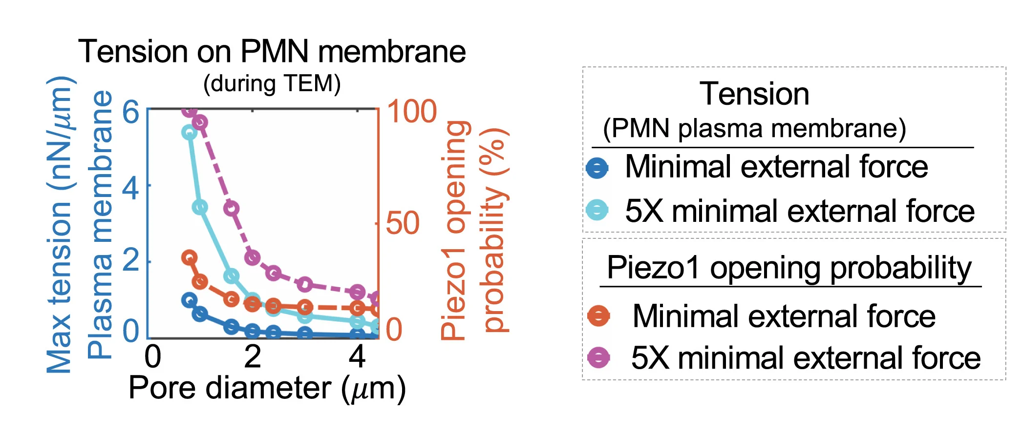 Open access visualization of Line Plot, Tension, PMN, Piezo1, Migration
