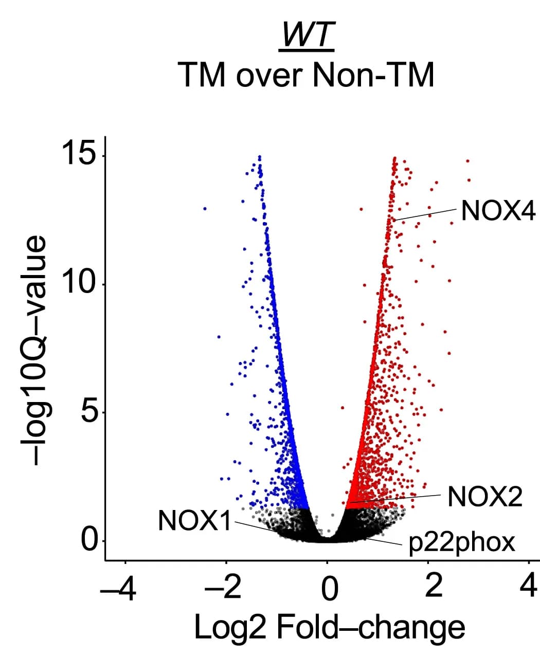 Open access visualization of Scatter Plot, Volcano Plots, Gene Expression, Wild-type PMNs, Transmigration