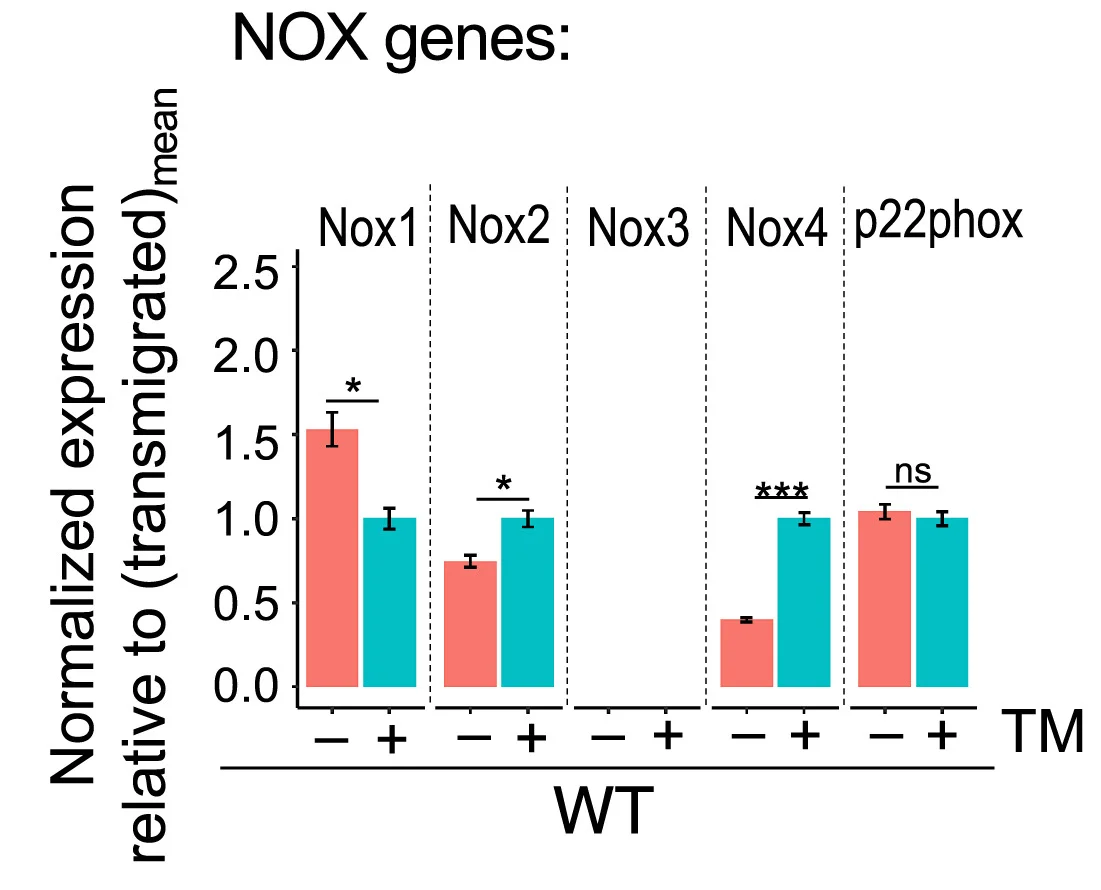 Open access visualization of Bar Plot, Error Bars, Clustered, RNA-Seq, Neutrophils