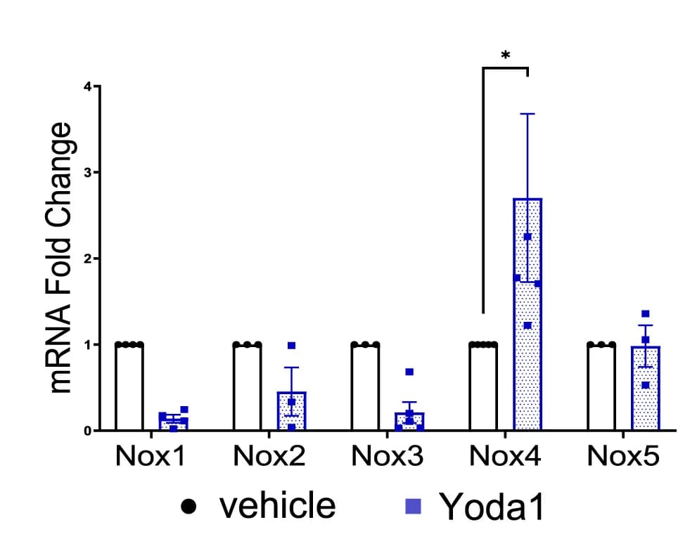Open access visualization of Bar Plot, Error Bars, Clustered, Neutrophils, Human