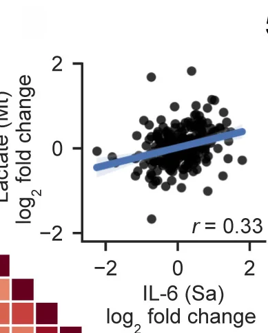 Open access visualization of Scatter Plot, Regression Plot, Heatmap, Study Design, BCG Vaccination