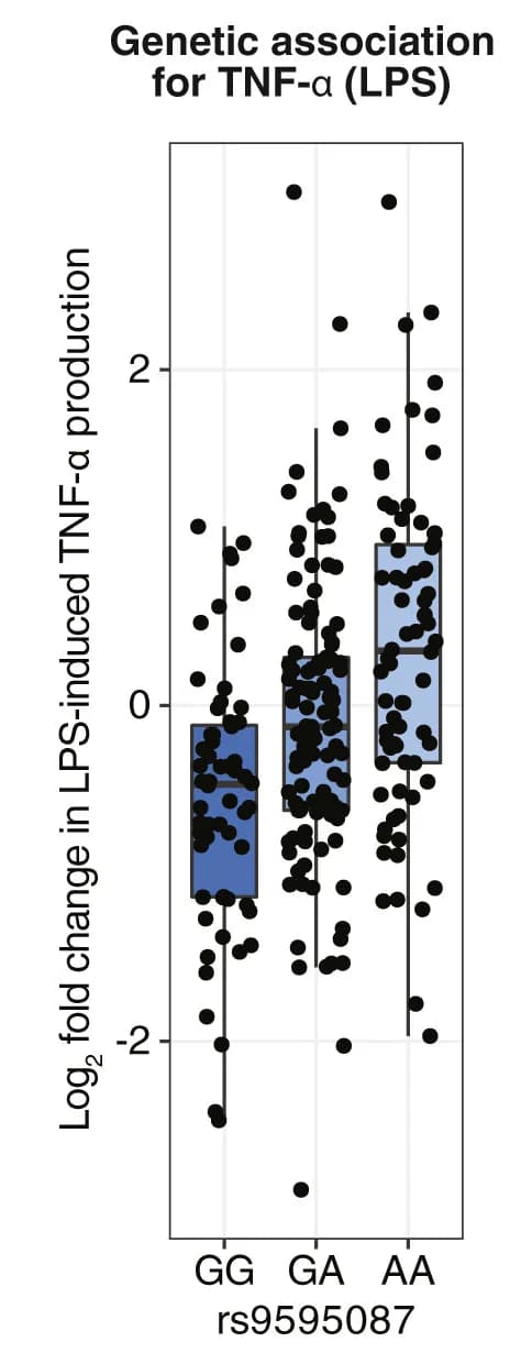 Open access visualization of Box Plot, Scatter Plot, Boxplot, LPS, TNF-