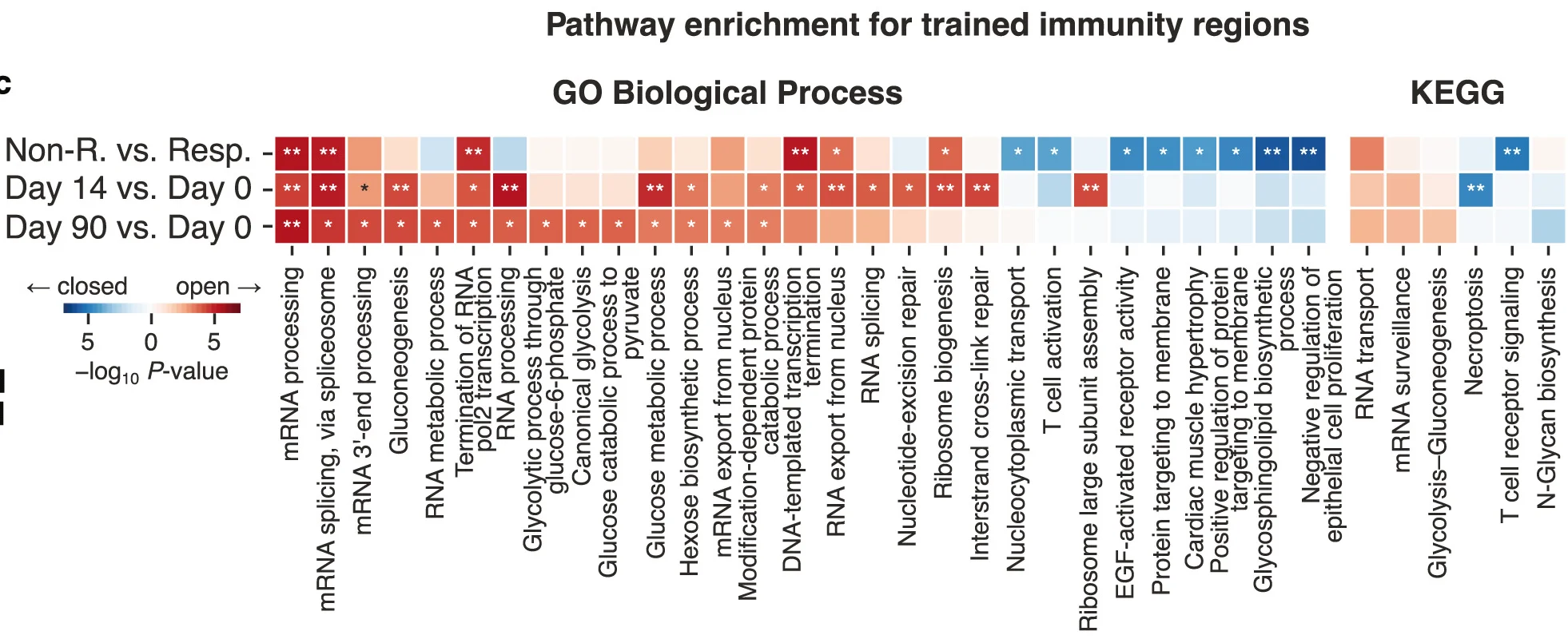 Open access visualization of Heatmap, Gene Set Enrichment, Chromatin Accessibility, Trained Immunity, BCG Vaccination