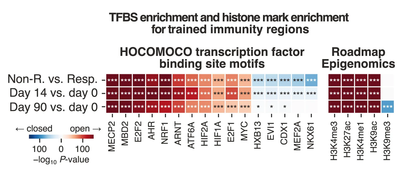 Open access visualization of Heatmap, Genomic Region Set Enrichment, Gene Set Enrichment