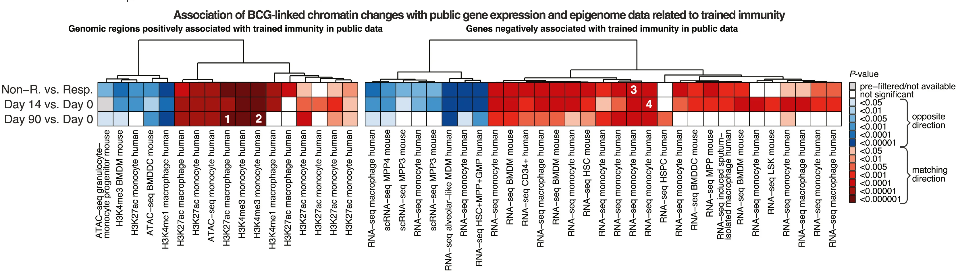 Open access visualization of Heatmap, Clustered, Concordance, Trained Immunity, Chromatin Accessibility
