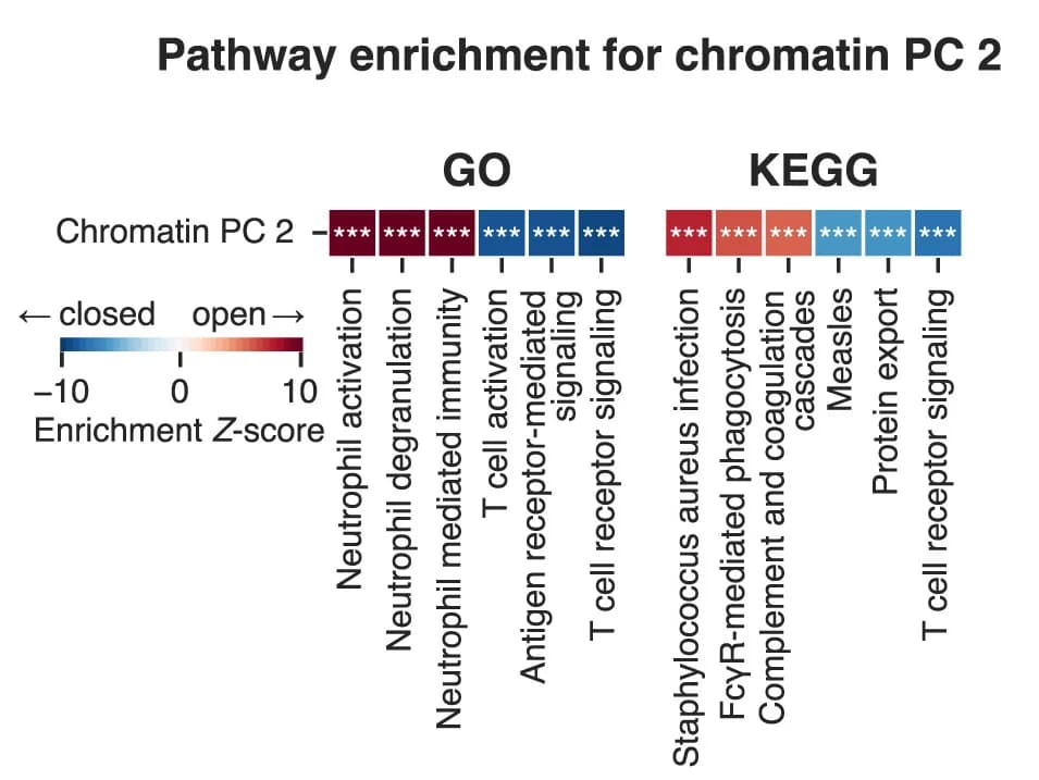 Open access visualization of Heatmap, Pathway Enrichment, Genomic Regions, Chromatin Accessibility, Principal Component Analysis
