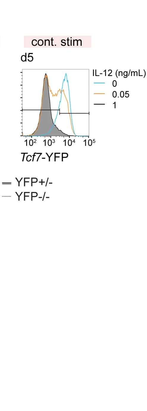 Open access visualization of Line Plot, Density Plot, Tcf7-YFP, IL-12, Silencing