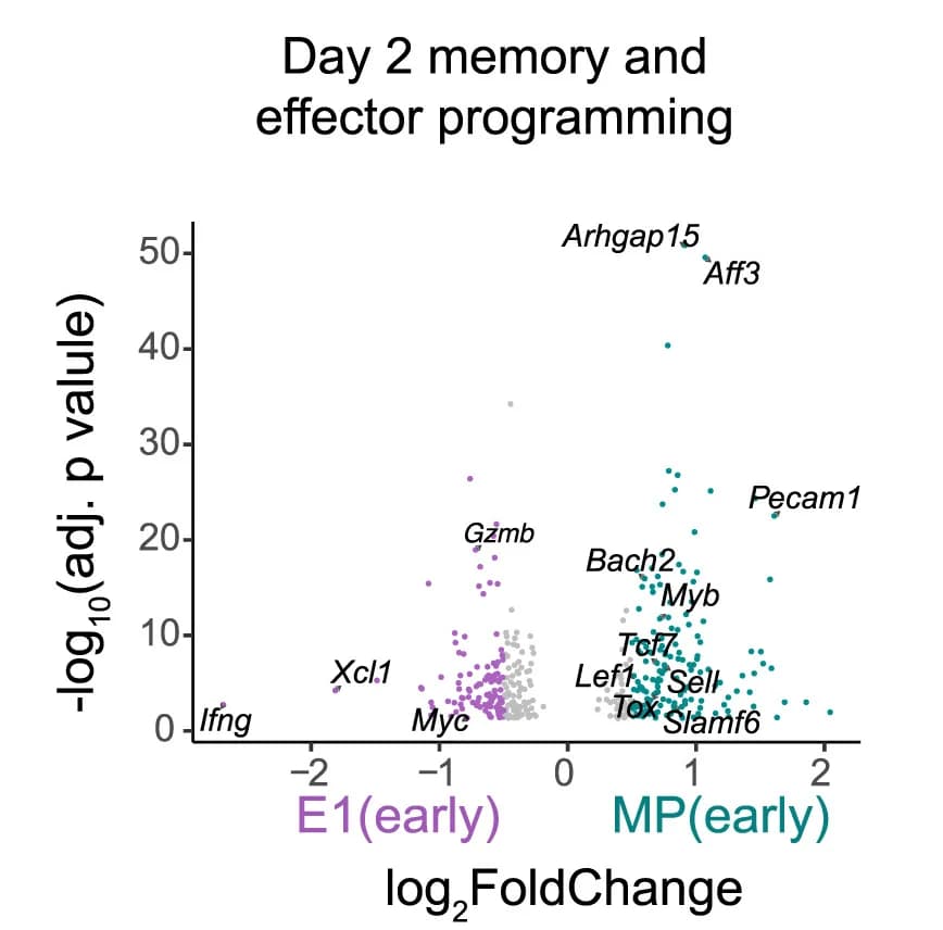 Open access visualization of Scatter Plot, Differentially Expressed Genes, log2FC