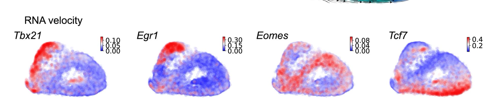 Open access visualization of Scatter Plot, Regression Plot, RNA Velocity, Magnitude, Pseudotime