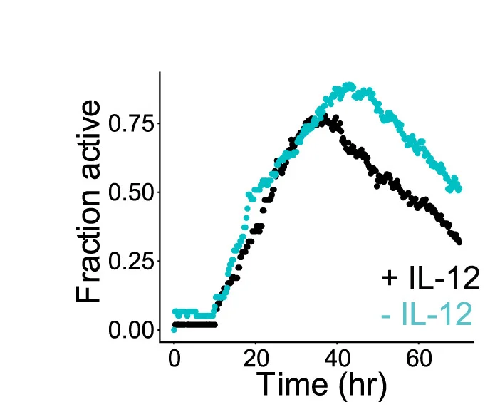 Open access visualization of Line Plot, Cell Lineages, Active Promoter, Cell Fraction, Time