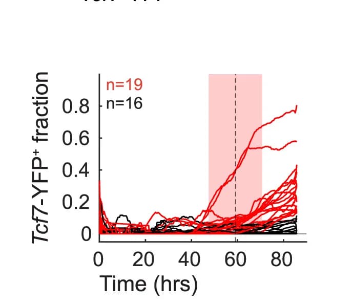 Open access visualization of Line Plot, YFP+ Fraction, Wells, Activation Time