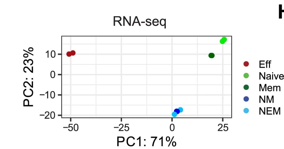 Open access visualization of Scatter Plot, PCA, Principal Component Analysis, RNA-seq Profiles, Differentially Expressed Genes