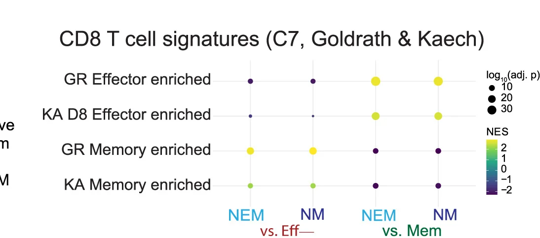Open access visualization of Bubble Plot, Scatter Plot, Gene Set Enrichment Analysis, GSEA, Gene Signatures