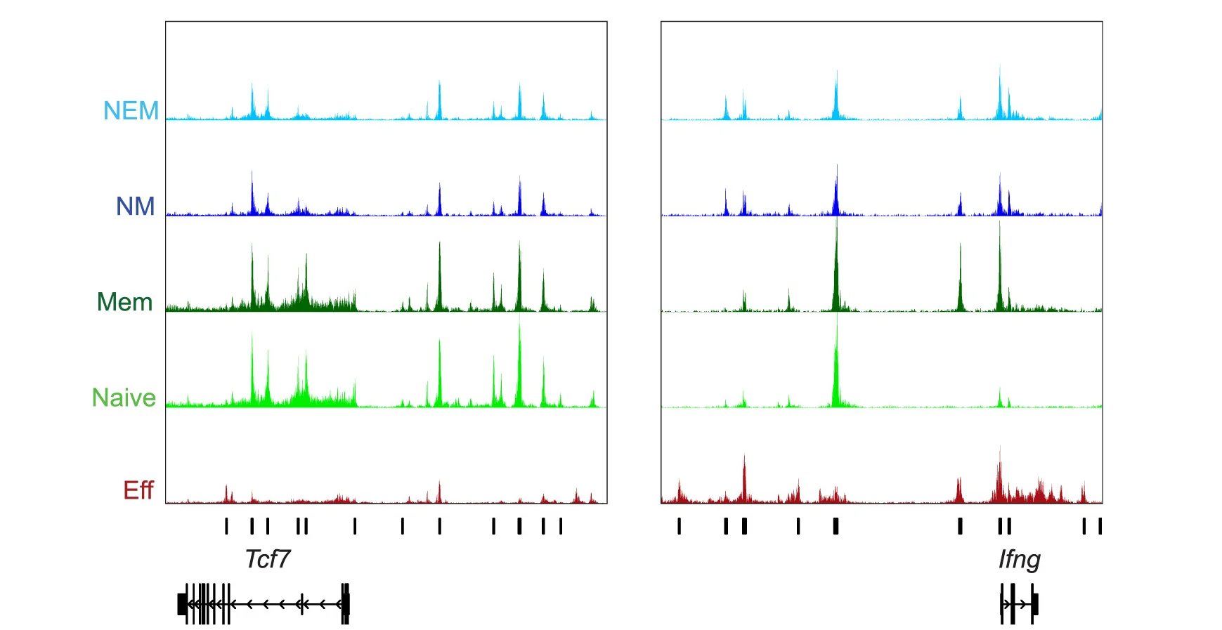 Open access visualization of Line Plot, Density Plot, ATAC-seq, Read Coverage Tracks, Differentially Accessible Peaks