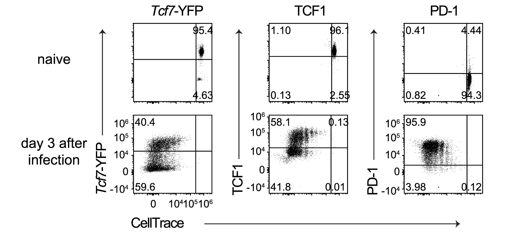 Open access visualization of Scatter Plot, CTV Dilution, Tcf7-YFP, TCF1, PD-1