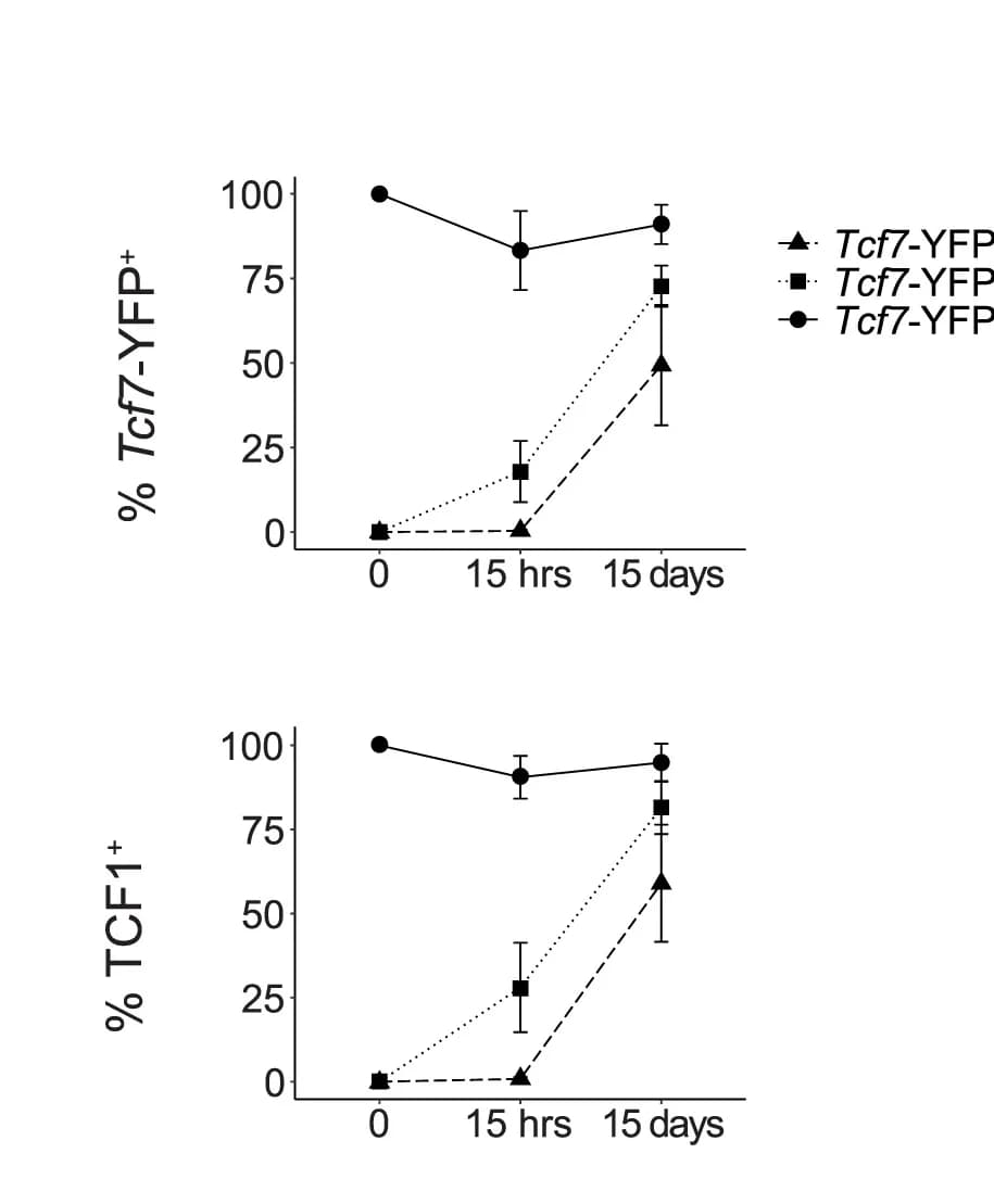 Open access visualization of Line Plot, Error Bars, P14 CD8+ T Cell Populations, Tcf7-YFP, TCF1