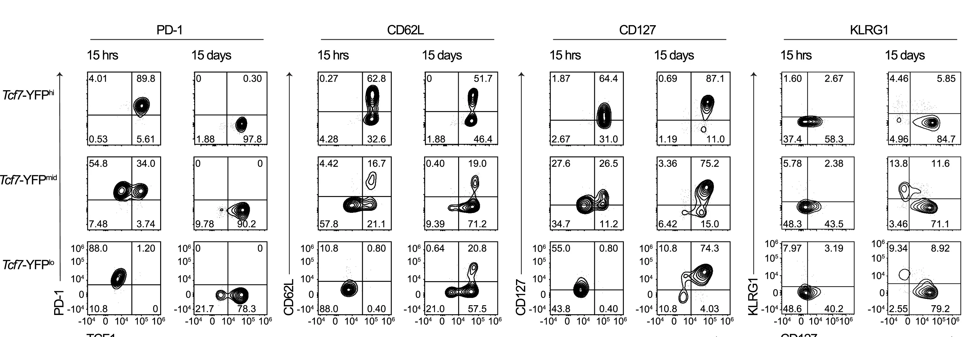 Open access visualization of Scatter Plot, TCF1, PD-1, CD62L, CD127