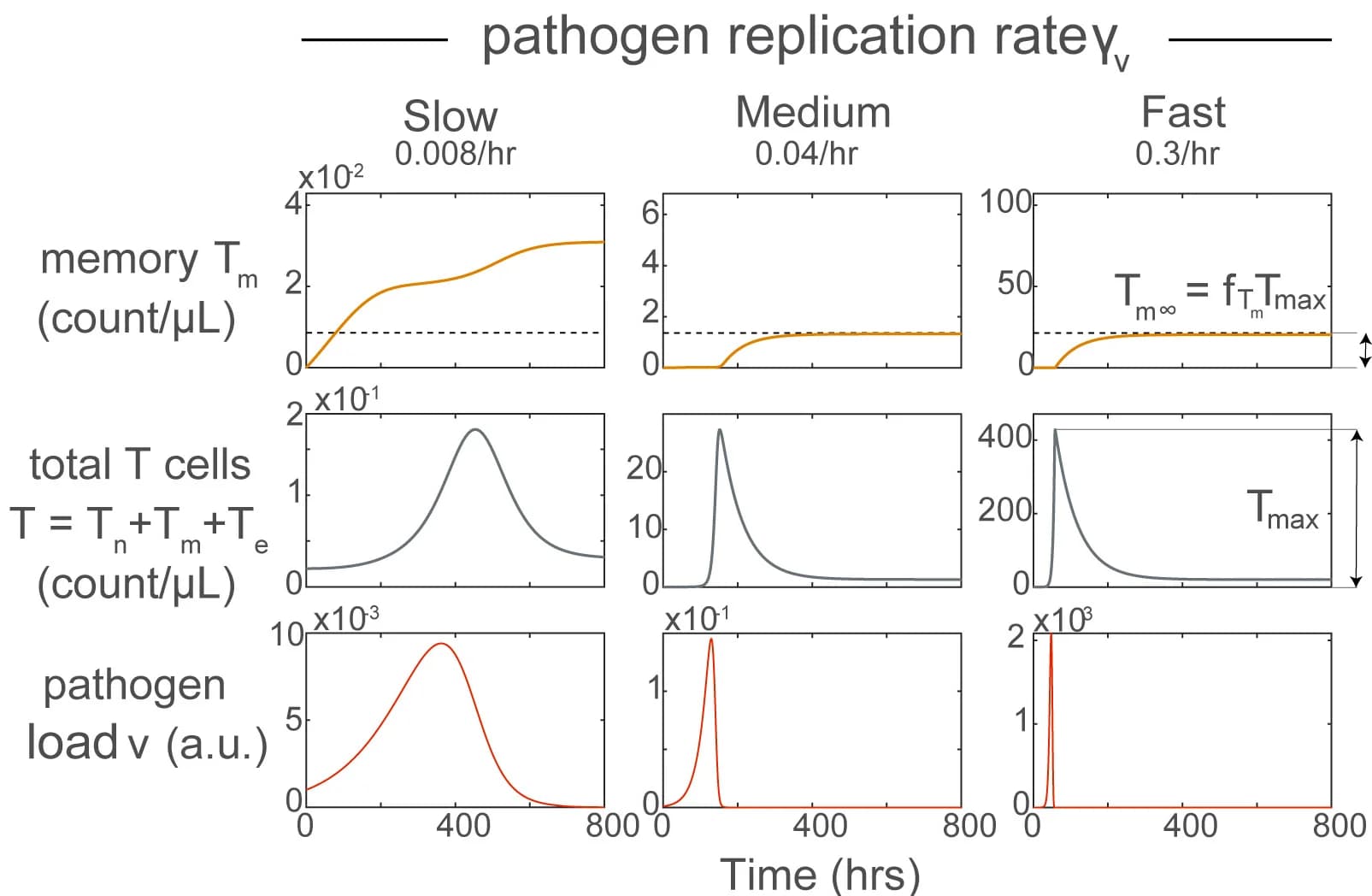 Open access visualization of Line Plot, Memory T Cells, Total T Cells, Pathogen Load, Pathogen Replication Rate