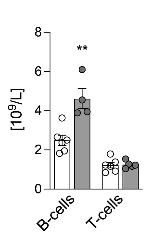 Open access visualization of Bar Plot, Error Bars, Scatter Plot, Neutrophil Count, Monocyte Count