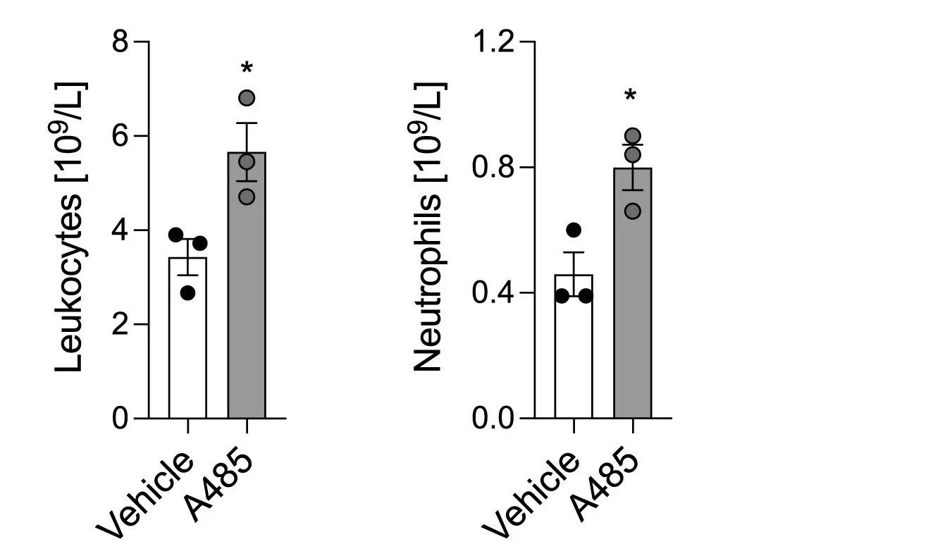 Open access visualization of Bar Plot, Error Bars, Scatter Plot, Blood Leukocyte, Neutrophils