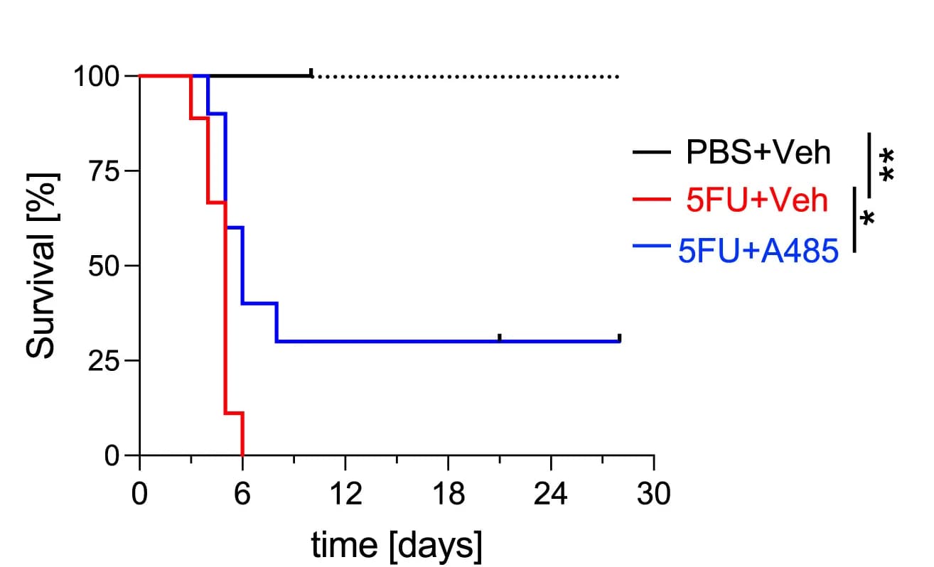 Open access visualization of Survival Curve, Line Step, Survival Curves, 5FU, Mice