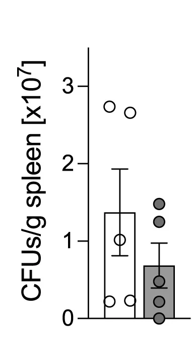 Open access visualization of Bar Plot, Error Bars, Scatter Plot, Colony-Forming Units, CFUs