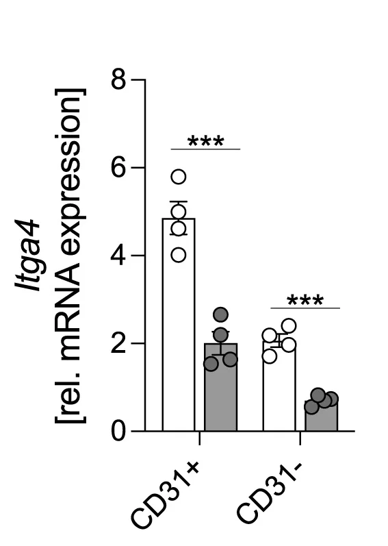 Open access visualization of Bar Plot, Error Bars, Itga4 mRNA Levels, CD31+ Bone Marrow Cells, CD31- Bone Marrow Cells