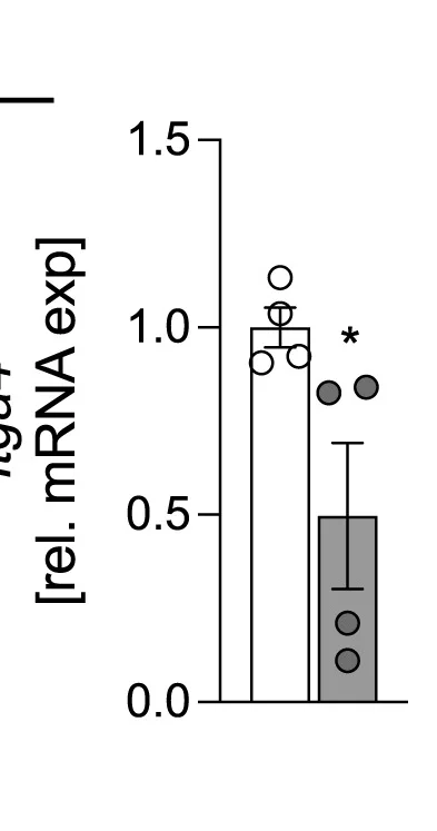 Open access visualization of Bar Plot, Error Bars, Itga4 mRNA Levels, Bone Marrow Cultures, Vehicle