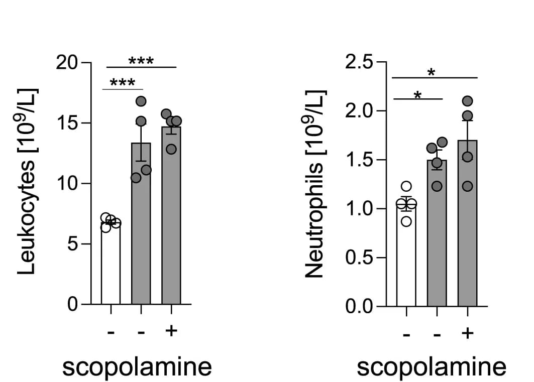 Open access visualization of Bar Plot, Error Bars, Scatter Plot, Leukocytes, Neutrophils