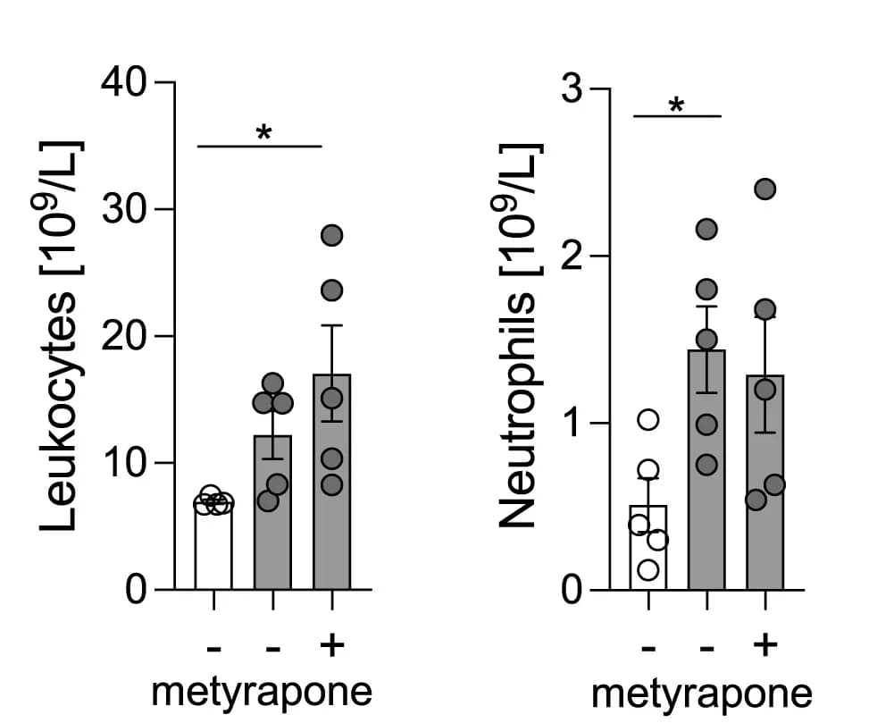 Open access visualization of Bar Plot, Error Bars, Scatter Plot, Leukocytes, Neutrophils