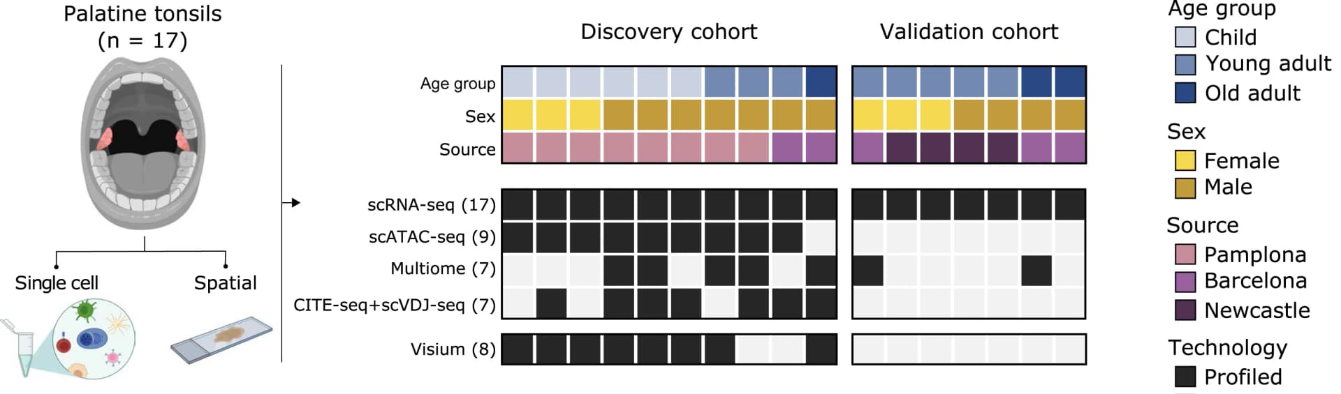 Open access visualization of Workflow, Illustration, Multiomic Approach, Discovery Cohort, Validation Cohort