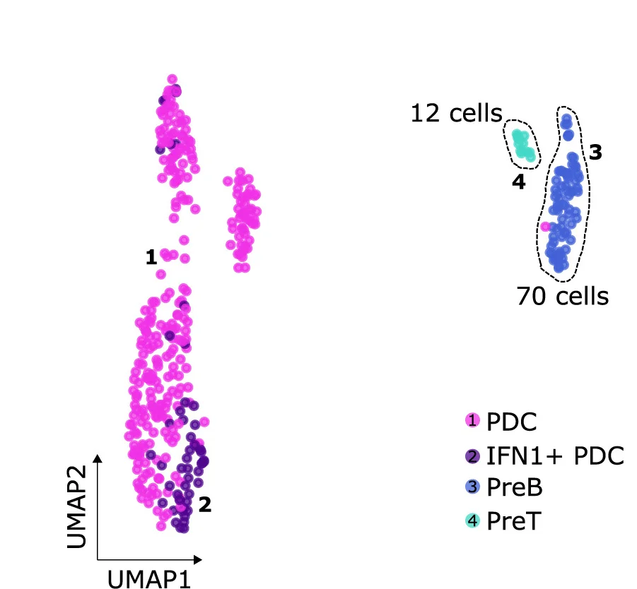 Open access visualization of Scatter Plot, UMAP, Tonsillar Plasmacytoid Dendritic Cells, PDCs, Precursor B Cells