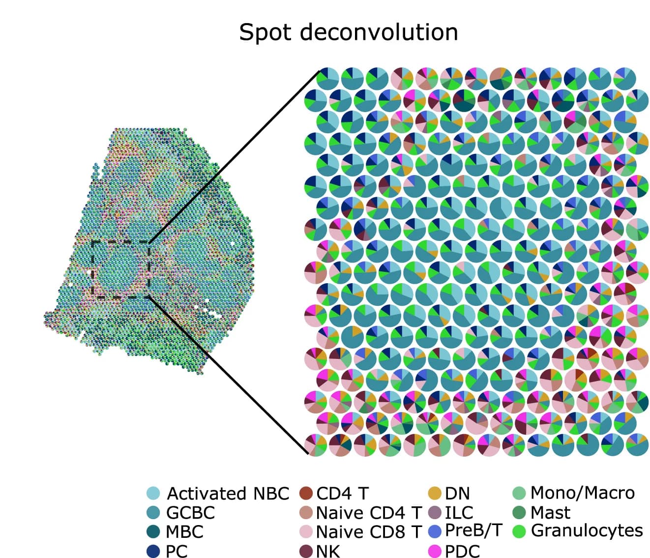 Open access visualization of Pie Chart, Geo Map, Spatial Scatter Pie Plot, ST Spots, Cell Types