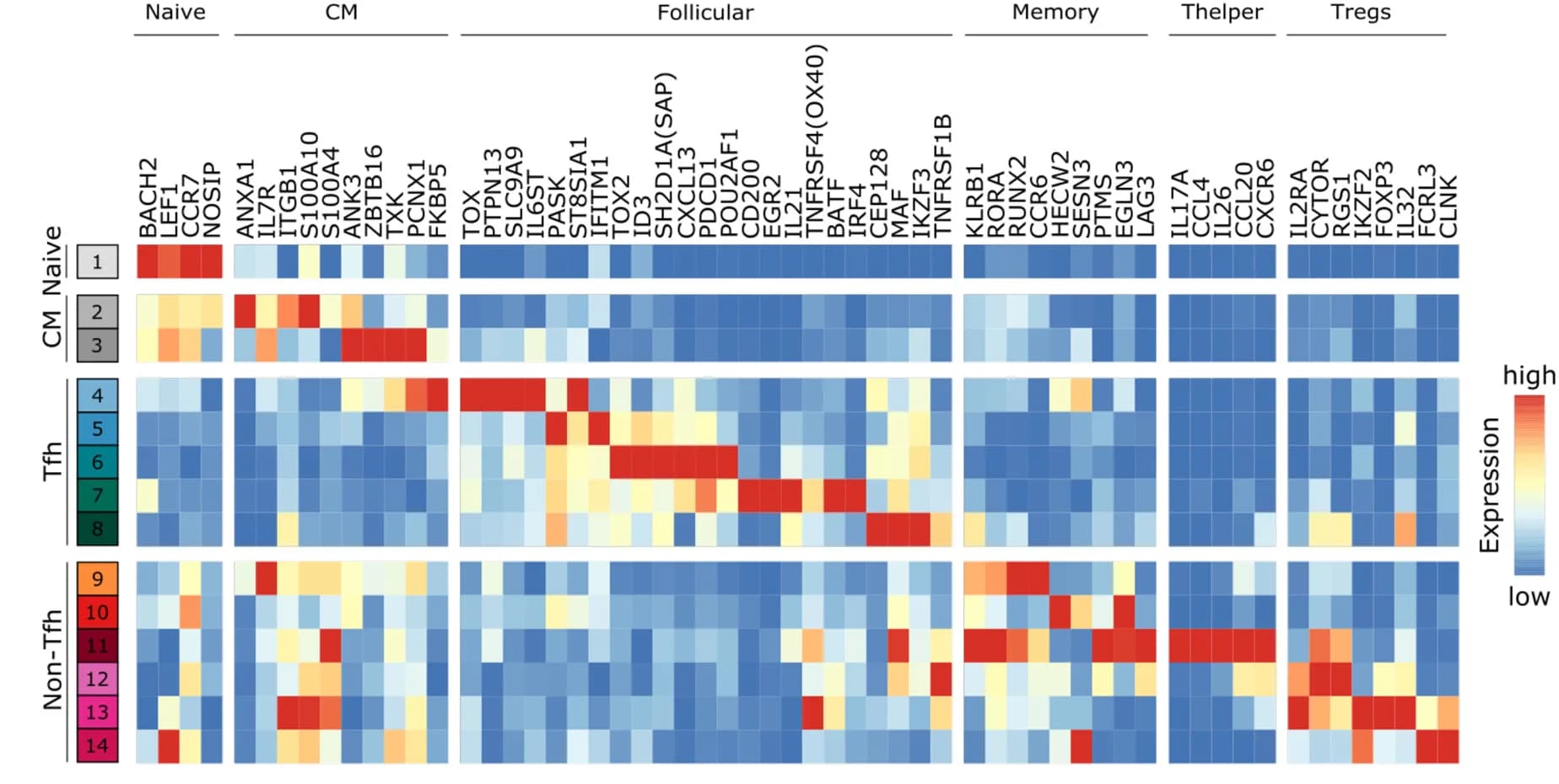 Open access visualization of Heatmap, Marker Expression, Subpopulation