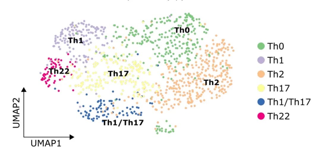 Open access visualization of Scatter Plot, UMAP, Tonsillar Th Cells, scRNA-seq, Clusters