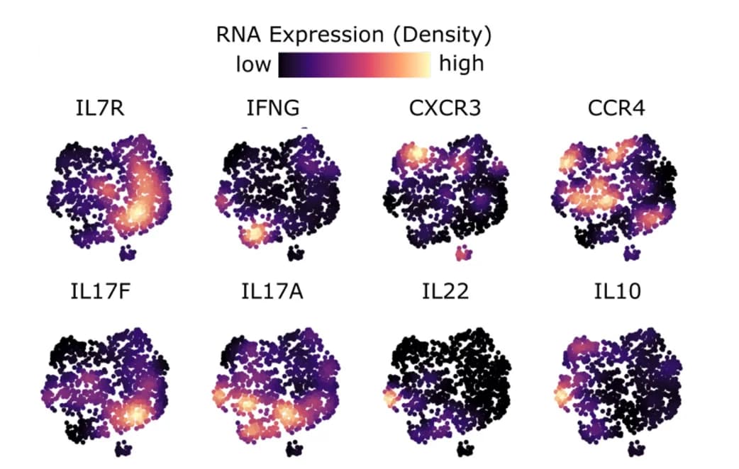 Open access visualization of Scatter Plot, Density Plot, UMAP, UMAPs, Interleukin Receptors