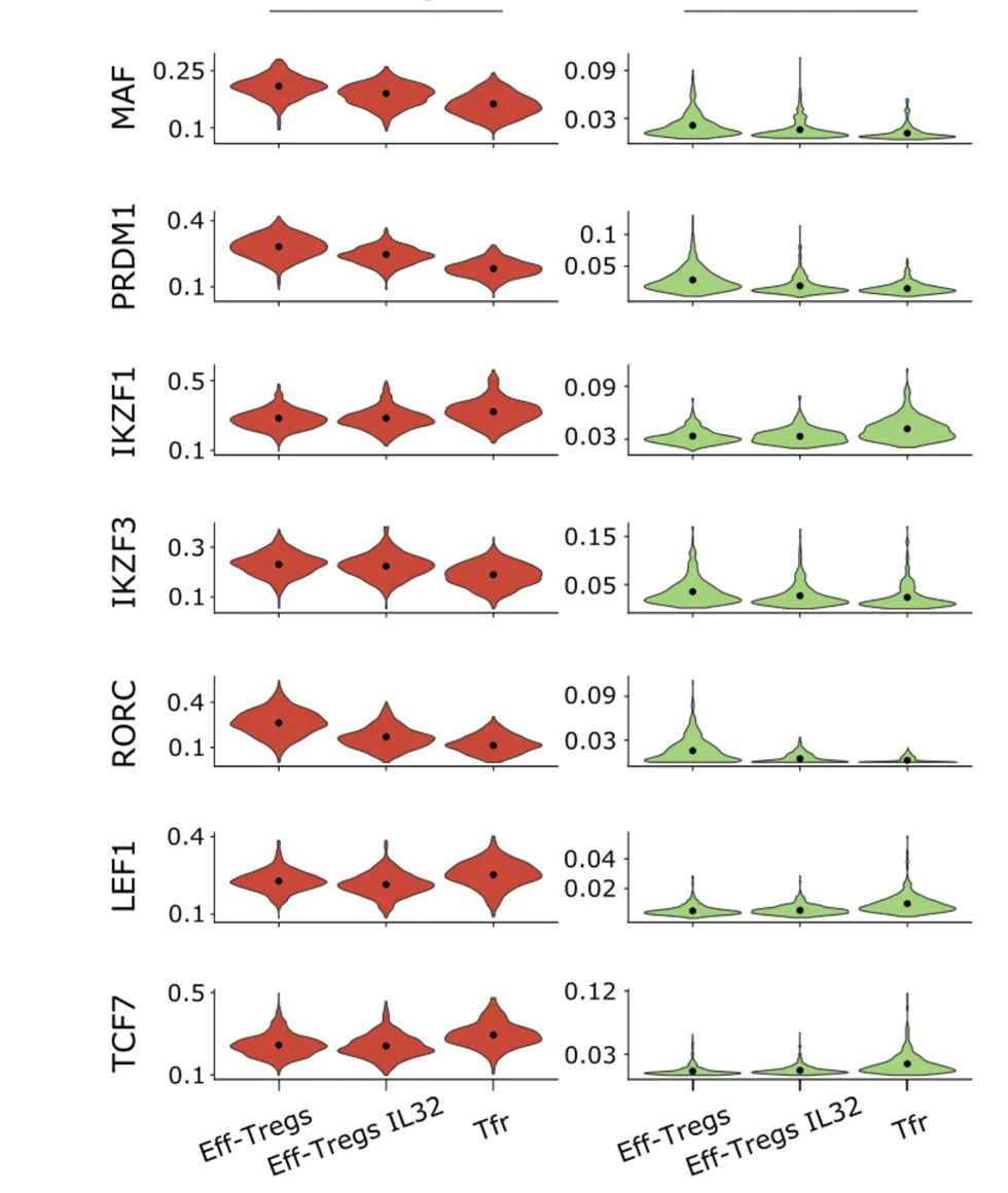Open access visualization of Violin Plot, Violin Plots, eRegulon Activity, Gene-Based, Region-Based