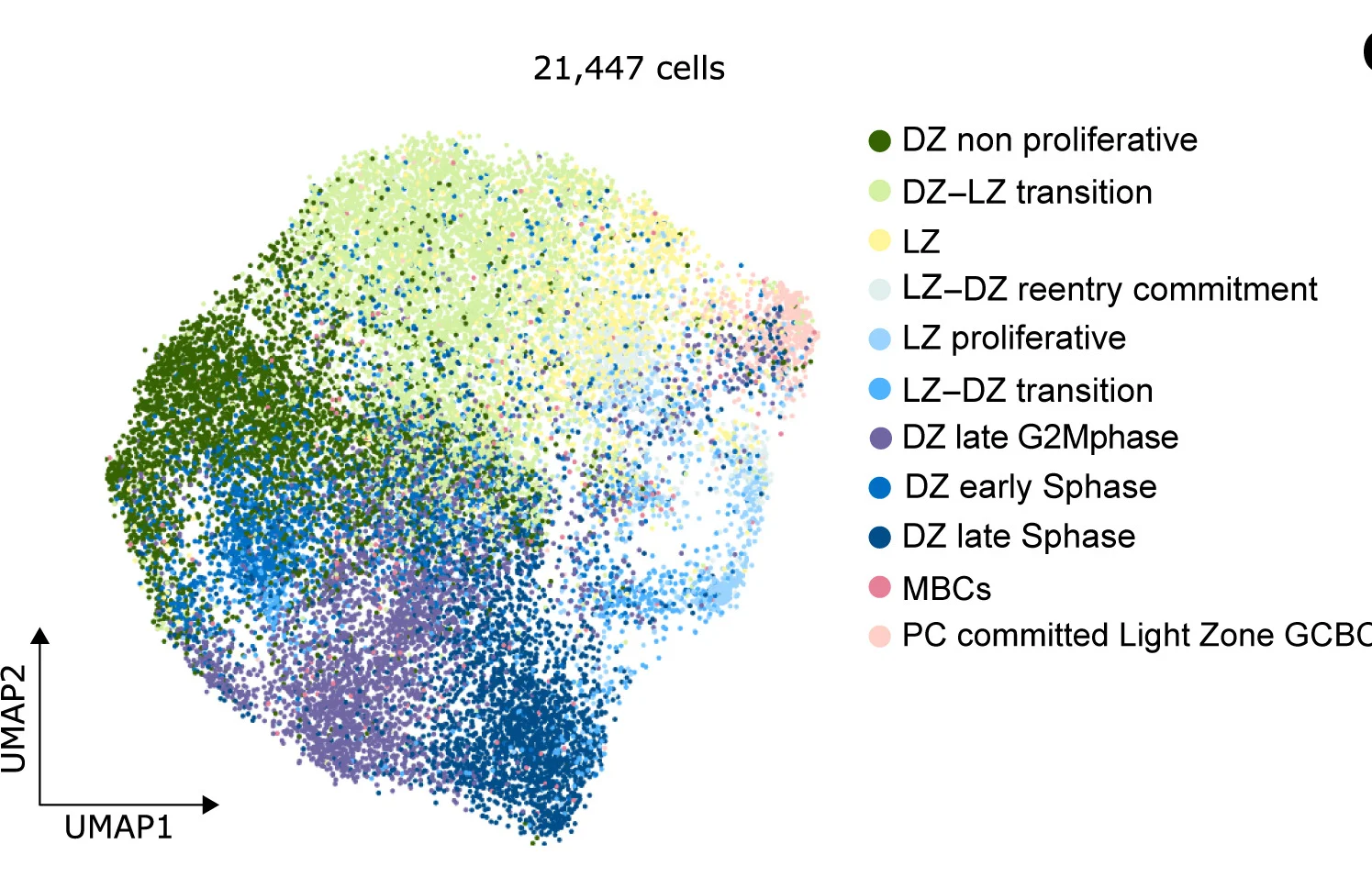 Open access visualization of Scatter Plot, UMAP, GCBC, scATAC-seq Clusters