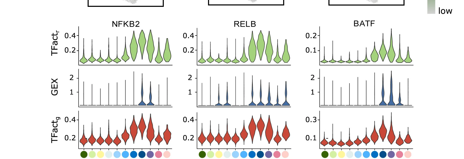 Open access visualization of Violin Plot, Box Plot, Violin Plots, Gene Expression, Gene-Based eRegulon Activity