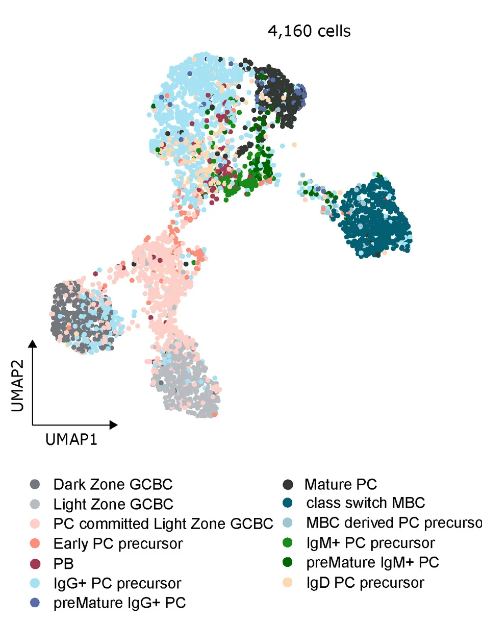 Open access visualization of UMAP, Scatter Plot, PC, scATAC-seq Clusters