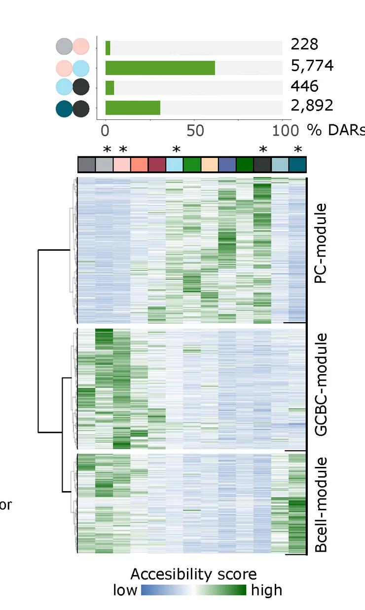 Open access visualization of Heatmap, Clustered, Bar Plot, Differentially Accessible Regions, DARs