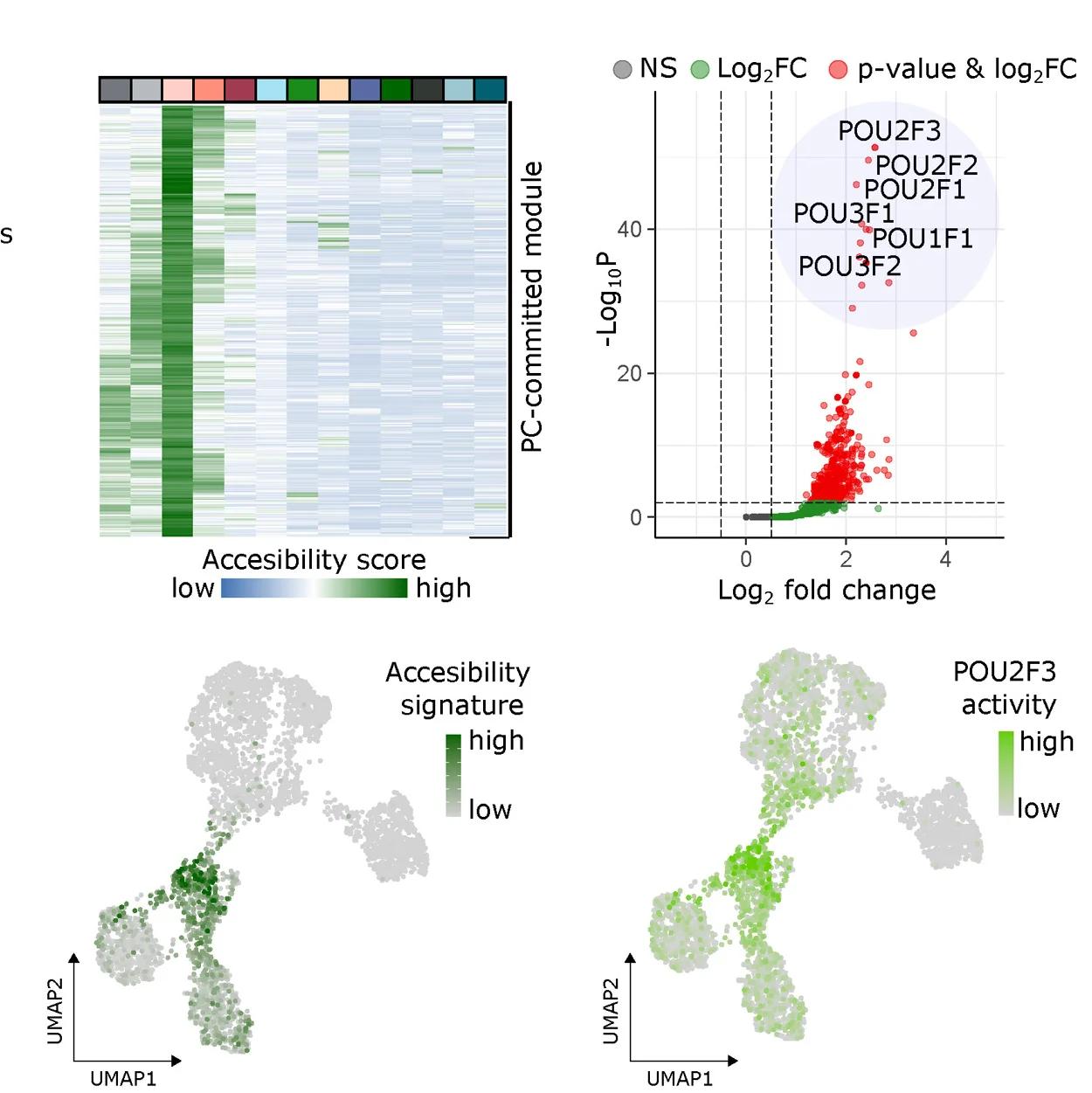 Open access visualization of Heatmap, Scatter Plot, UMAP, PC-Committed Module, Accessibility Score