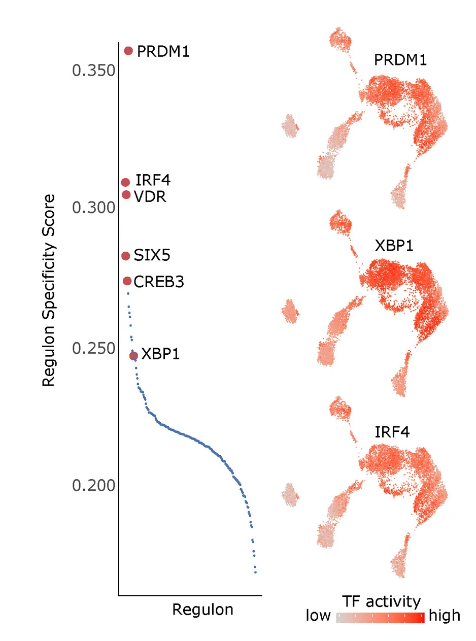 Open access visualization of Scatter Plot, UMAP, Line Plot, Regulon Specificity Score, PC Subpopulation