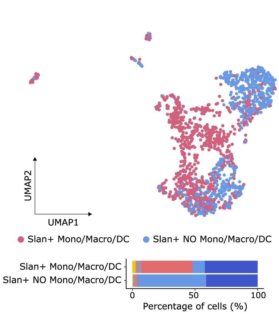 Open access visualization of UMAP, Scatter Plot, Bar Plot, Stacked Bar Plot, slan+ Cells