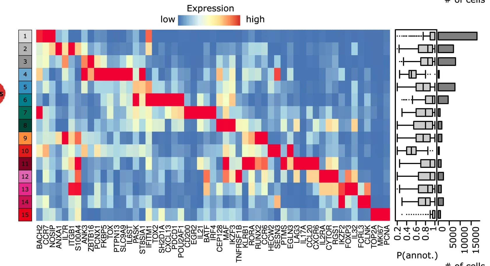 Open access visualization of Heatmap, Box Plot, Marker Expression, CD4 T Subclusters, Validation Cohort