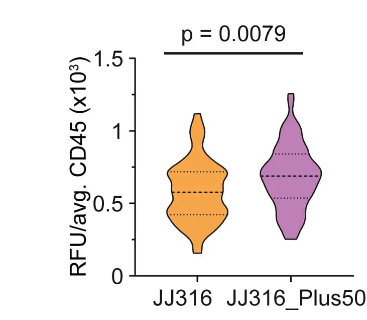 Open access visualization of Violin Plot, JJ316 Antibody, JJ316 Plus50