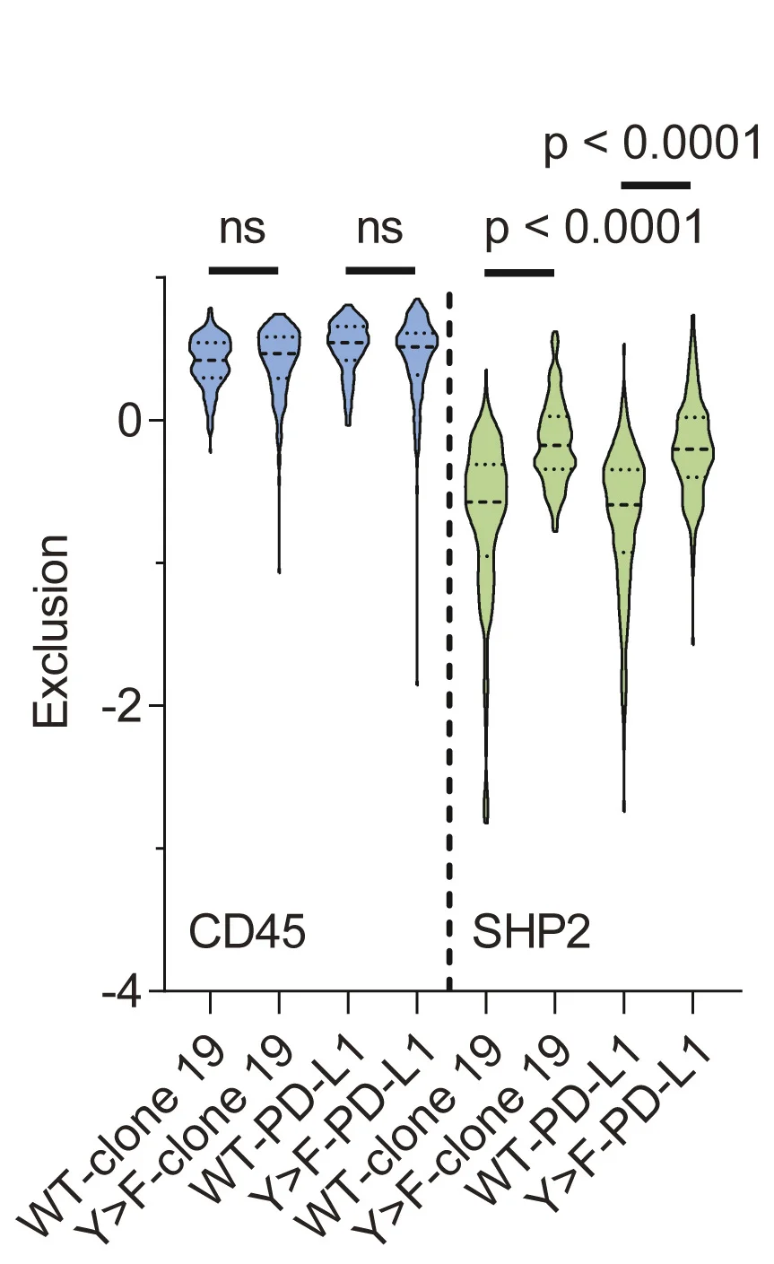 Open access visualization of Violin Plot, Violin Plots, CD45, SHP2, Clone 19