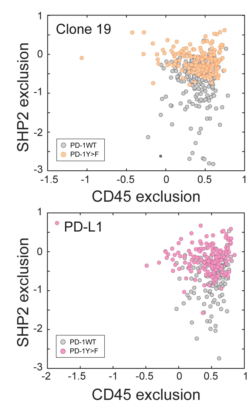 Open access visualization of Scatter Plot, Dot Plots, CD45, SHP2, PD-1WT